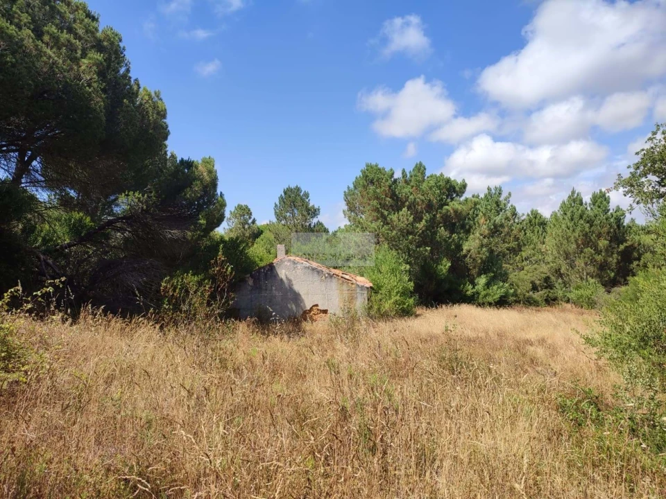 Quinta para Venda em Aljezur Foto 2