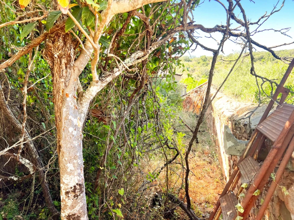 Moradia T3 para Venda em São Brás de Alportel Foto 20