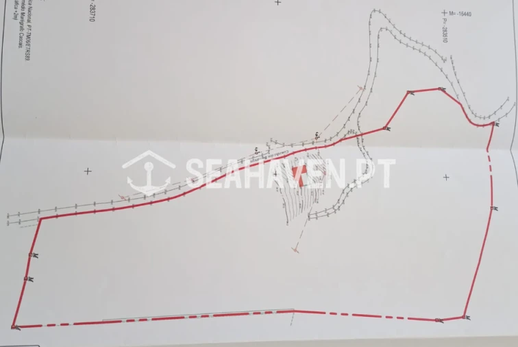 Terreno para Venda em Guia Foto 8