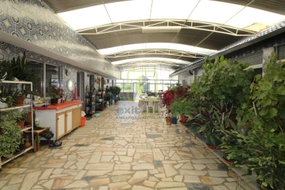 Moradia T4 para Venda em Oliveirinha