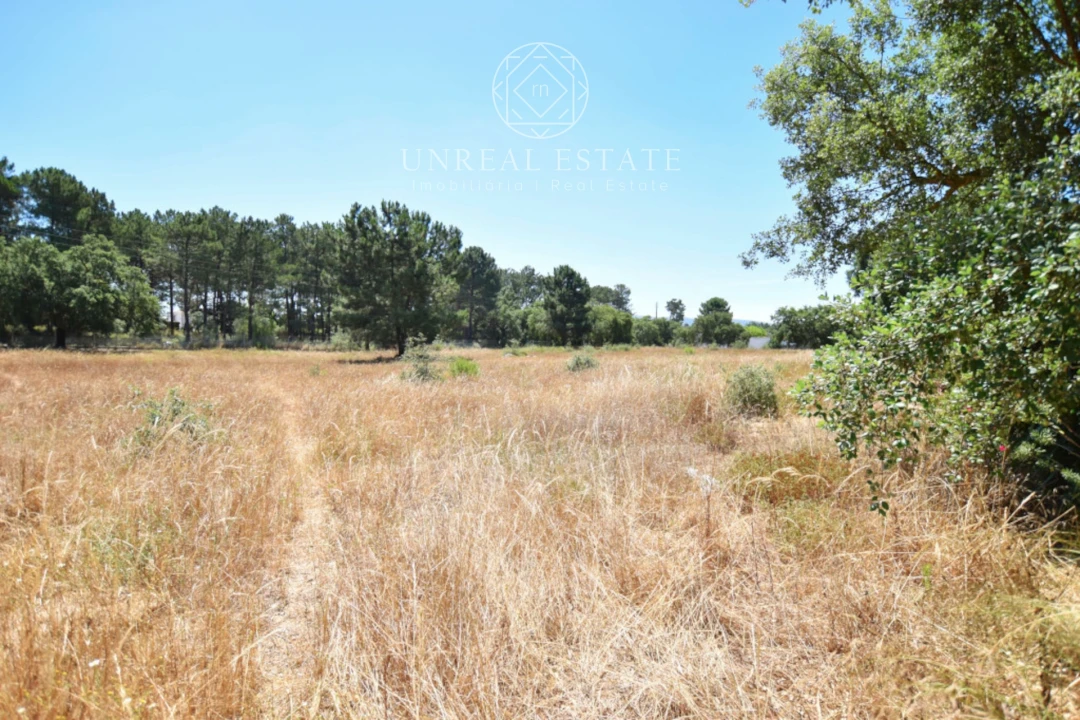 Moradia T4 para Venda em Azeitão (São Lourenço e São Simão) Foto 79