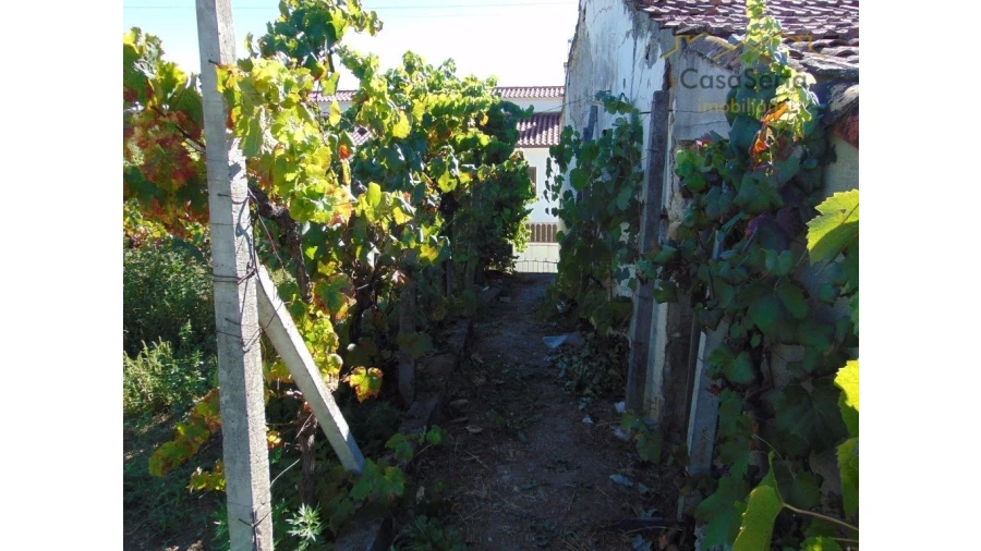 Moradia T0 para Venda em Cumeada e Marmeleiro Foto 11