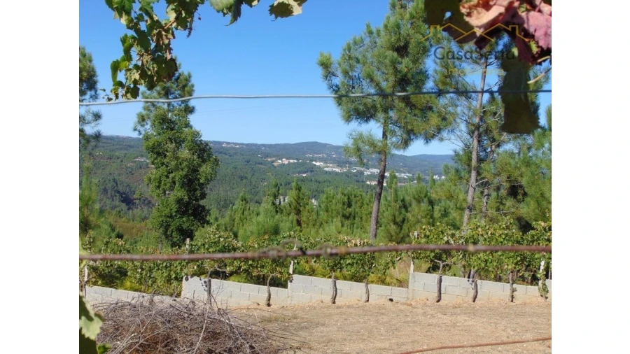 Moradia T0 para Venda em Cumeada e Marmeleiro Foto 5