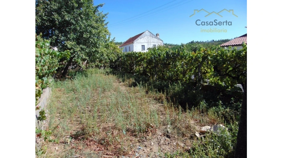 Moradia T0 para Venda em Cumeada e Marmeleiro Foto 13