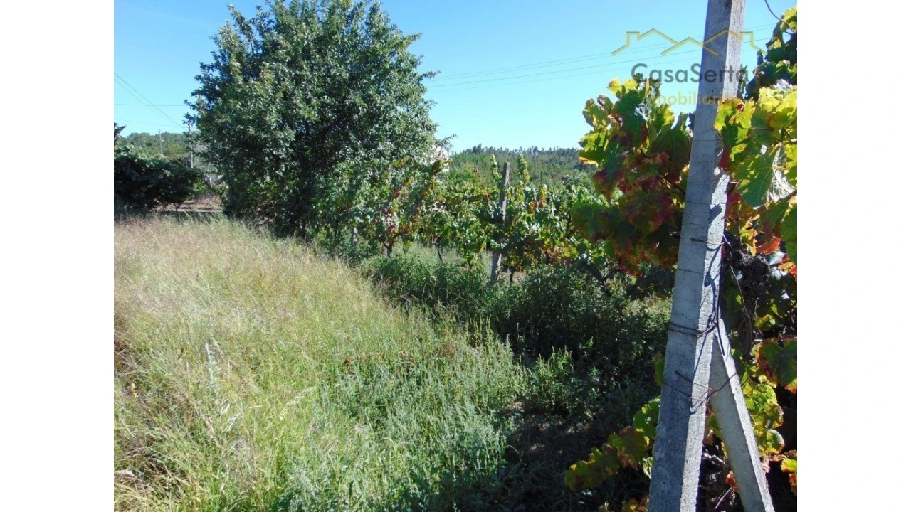 Moradia T0 para Venda em Cumeada e Marmeleiro Foto 12