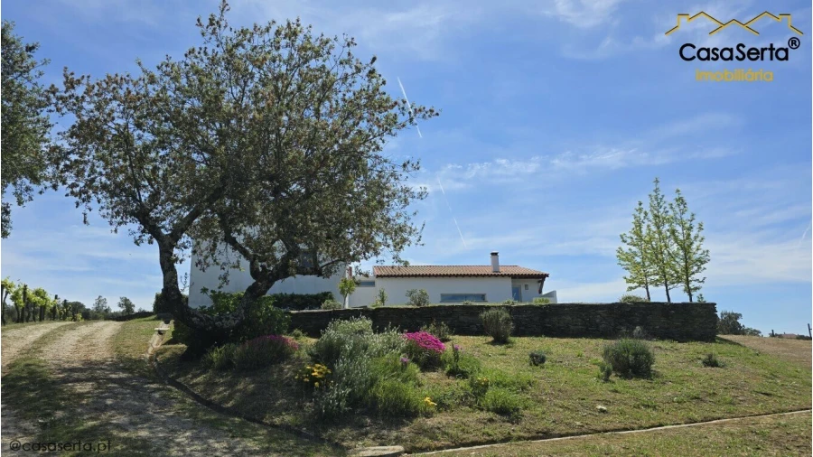 Quinta T3 para Venda em Benquerenças Foto 6