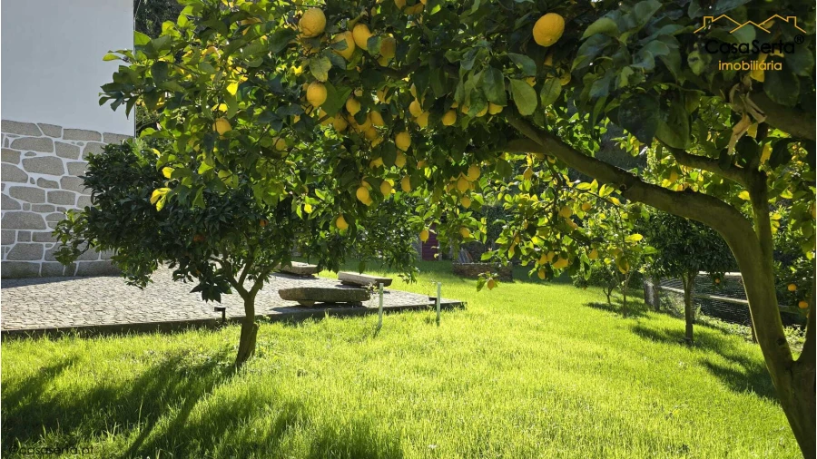 Quinta T5 para Venda em Benfeita Foto 11