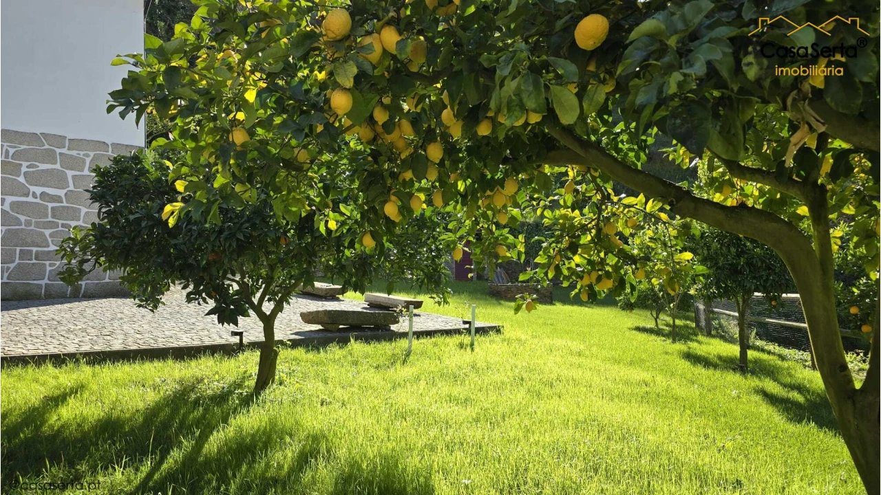 Quinta T5 para Venda em Benfeita Foto 11