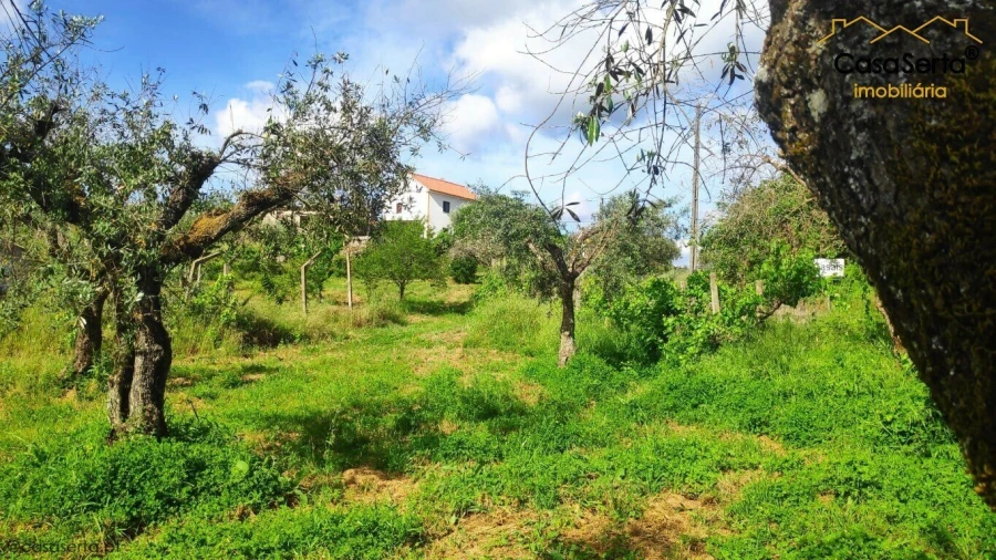 Moradia T3 para Venda em Castelo Foto 20