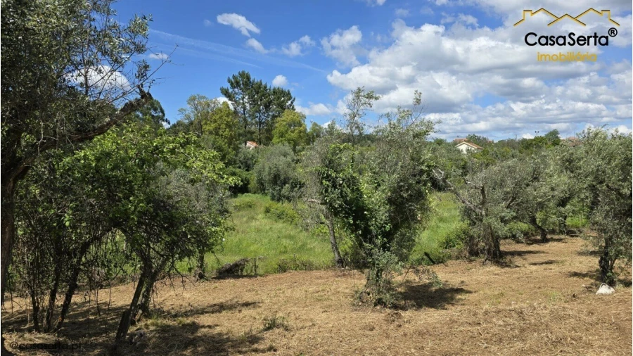 Quinta T3 para Venda em Cabeçudo Foto 16