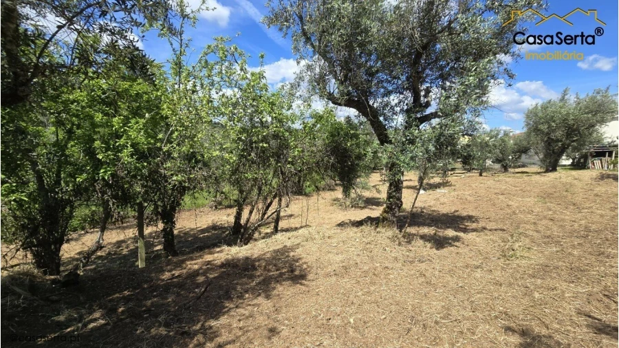 Quinta T3 para Venda em Cabeçudo Foto 17
