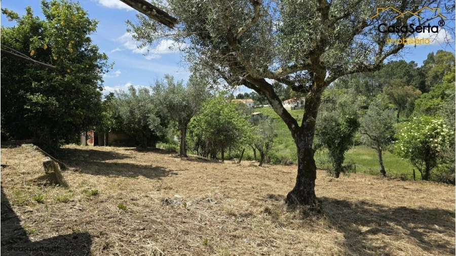 Quinta T3 para Venda em Cabeçudo Foto 15
