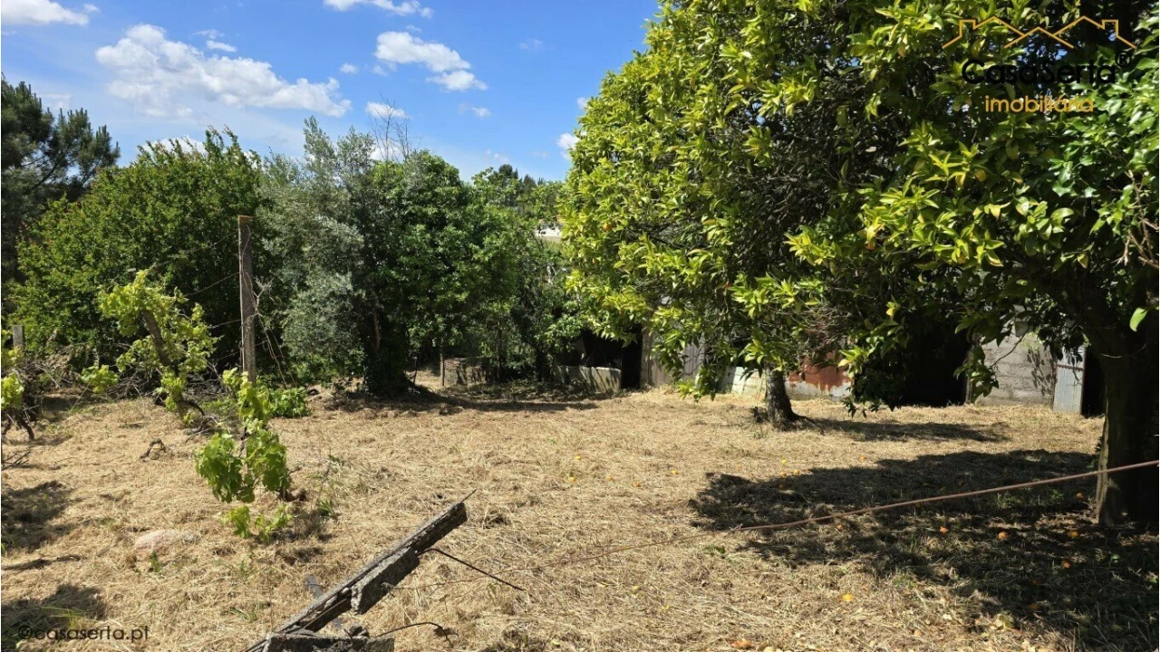 Quinta T3 para Venda em Cabeçudo Foto 14