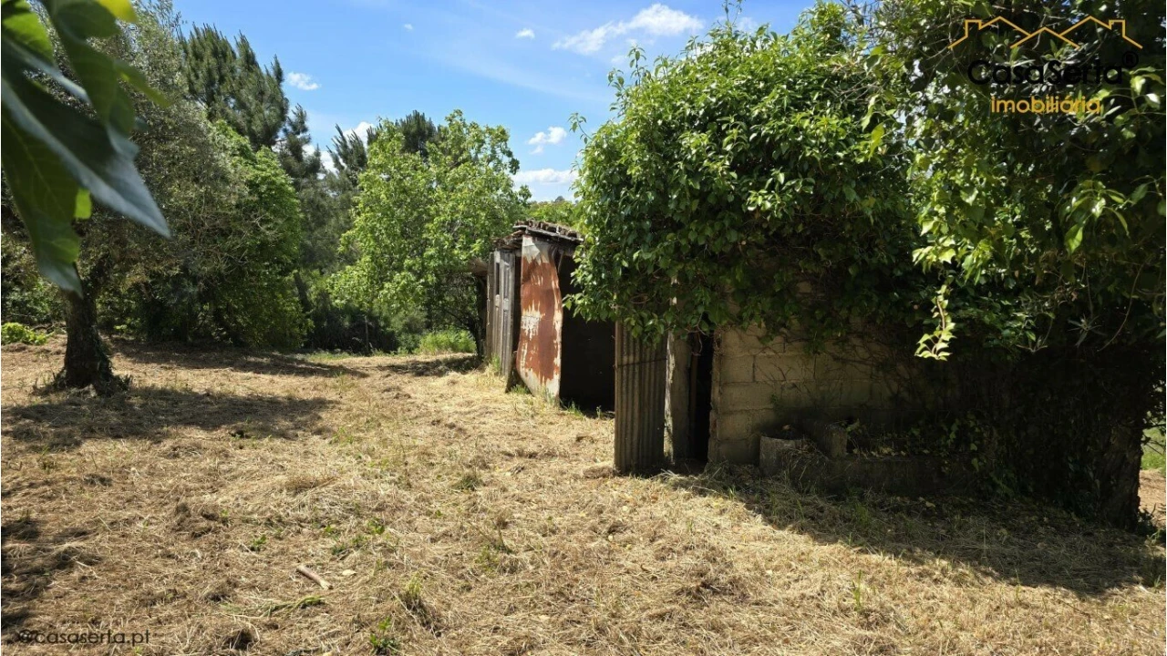 Quinta T3 para Venda em Cabeçudo Foto 13