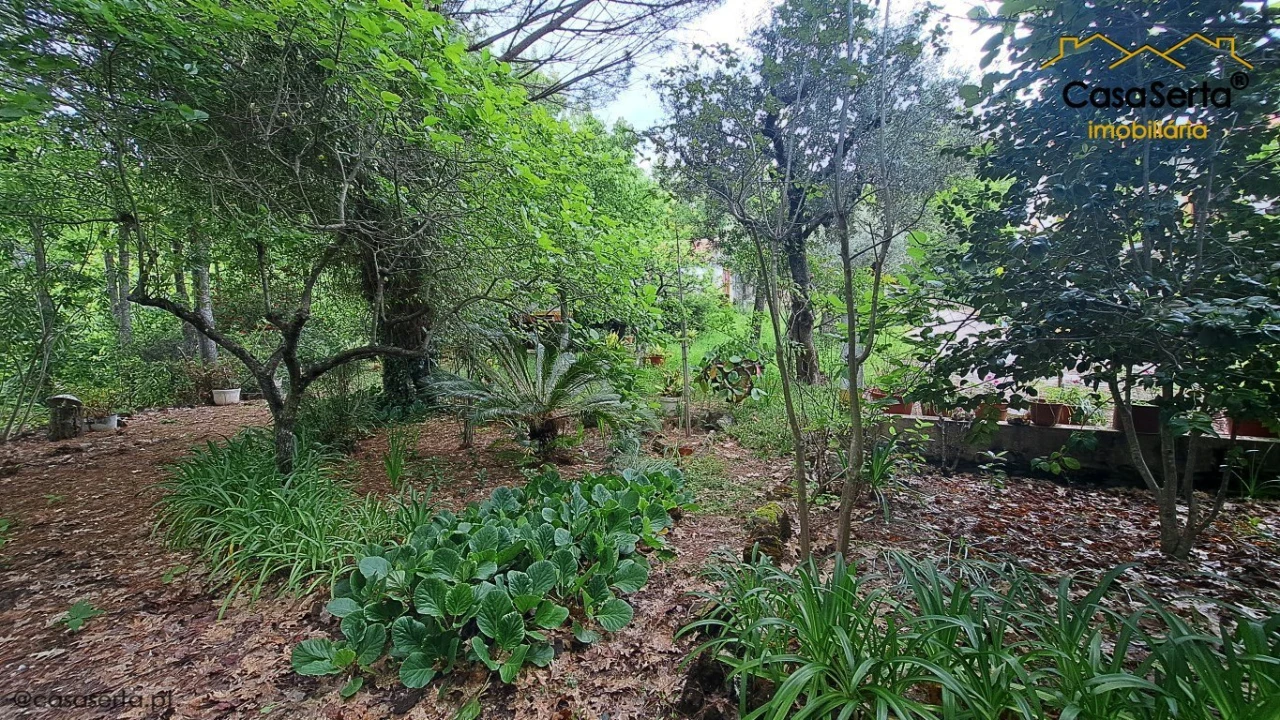 Quinta T0 para Venda em Sertã Foto 12
