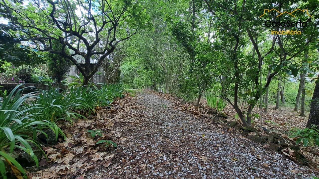 Quinta T0 para Venda em Sertã Foto 11