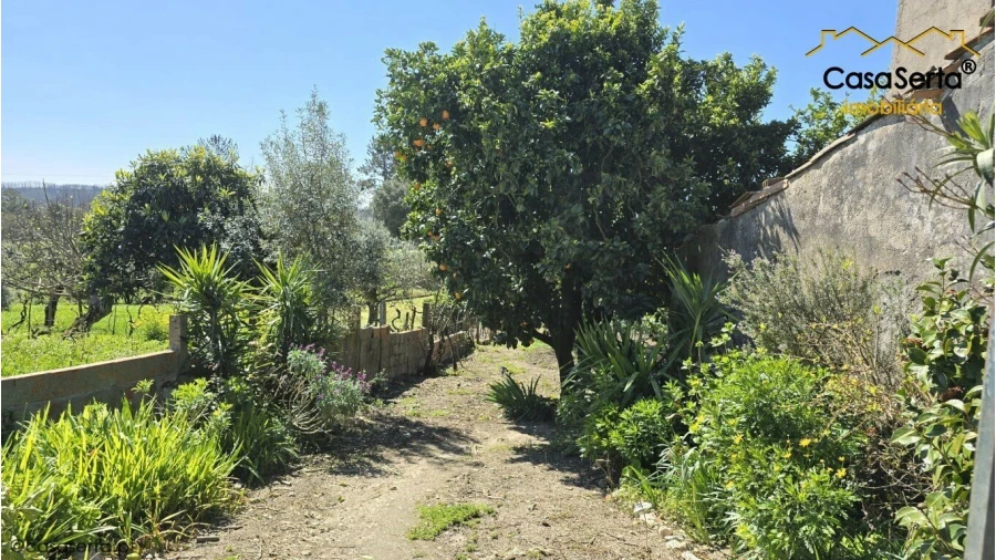 Moradia T3 para Venda em Almoster Foto 18