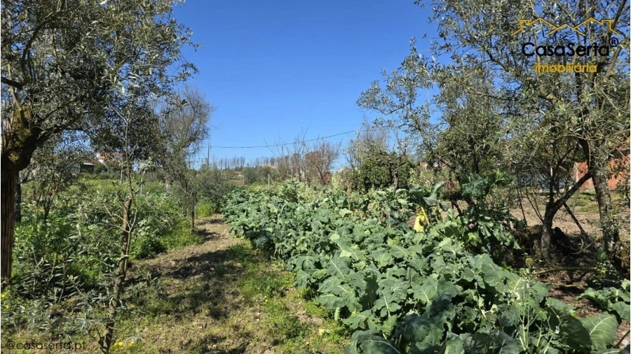 Moradia T3 para Venda em Almoster Foto 19