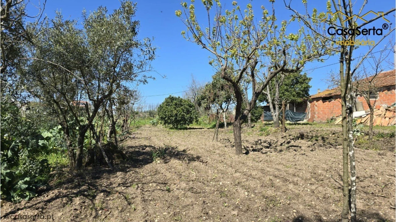 Moradia T3 para Venda em Almoster Foto 16