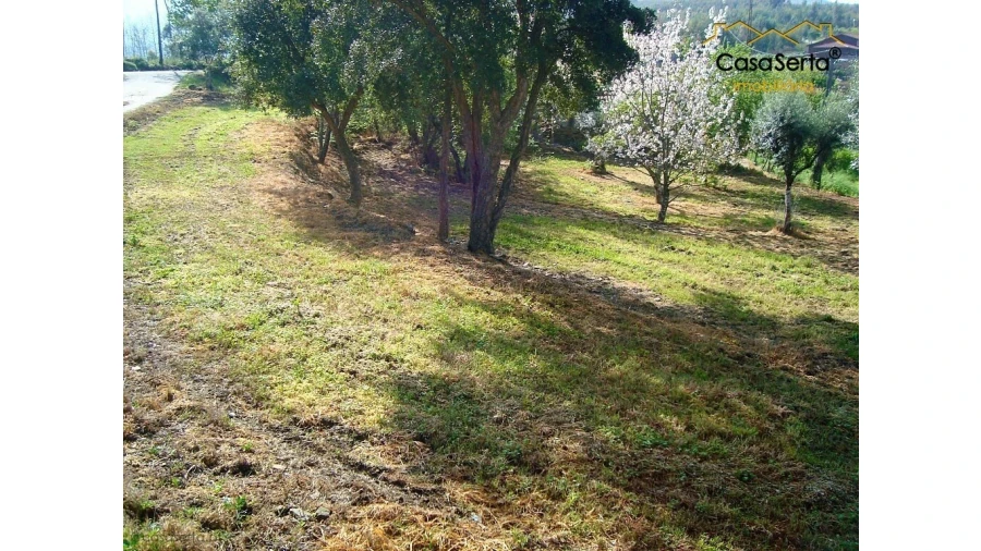 Quinta T0 para Venda em Pedrogão Pequeno Foto 8