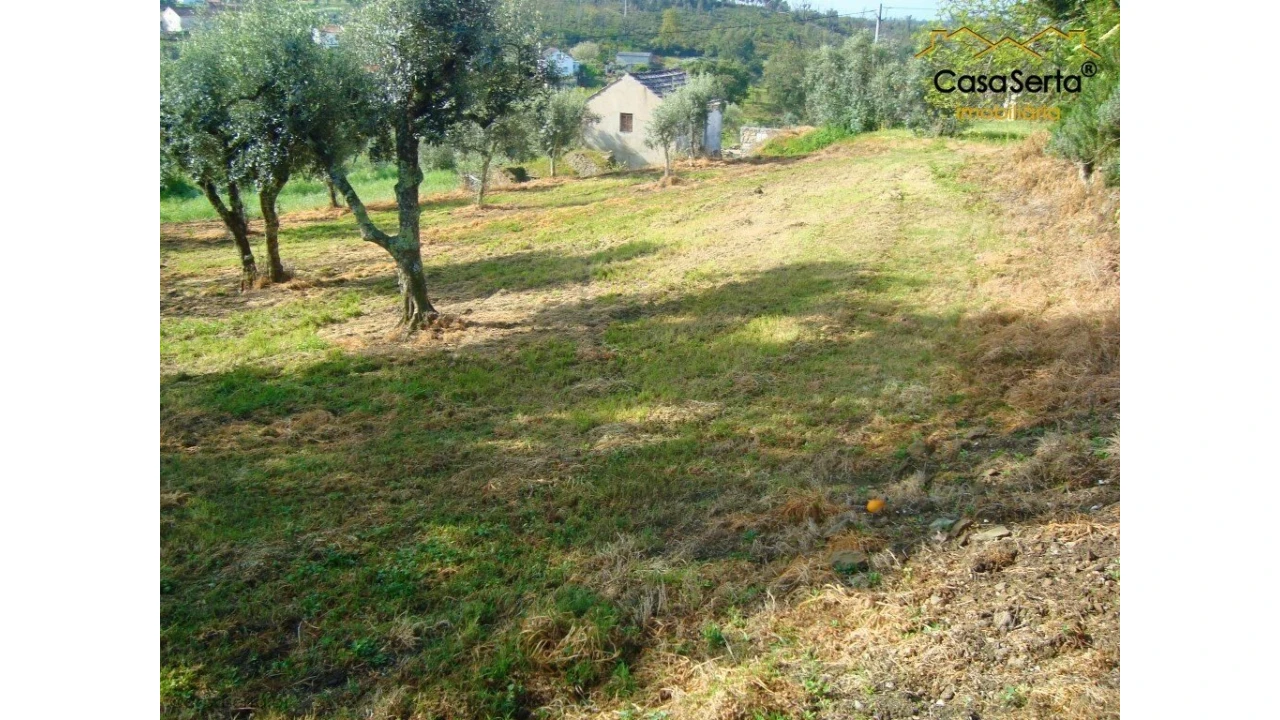 Quinta T0 para Venda em Pedrogão Pequeno Foto 7