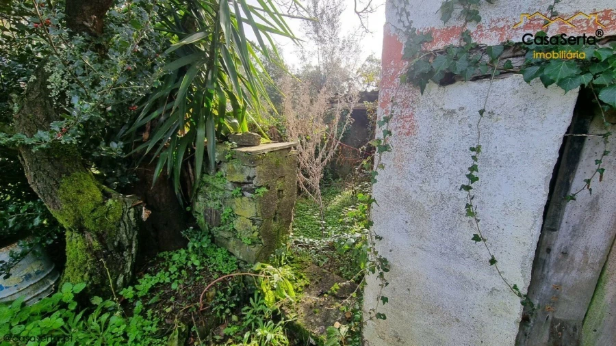 Moradia T0 para Venda em Sertã Foto 8