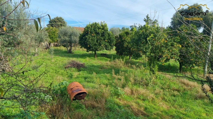 Moradia T0 para Venda em Sertã Foto 10