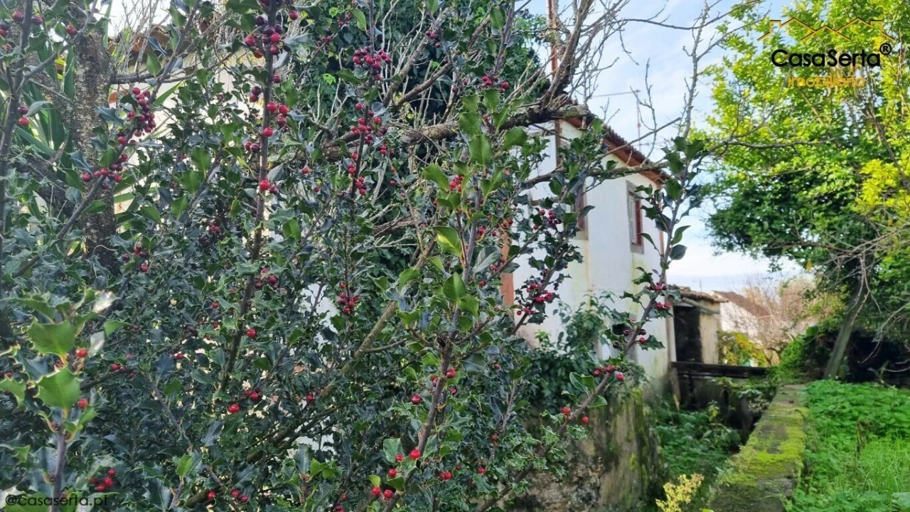 Moradia T0 para Venda em Sertã Foto 2