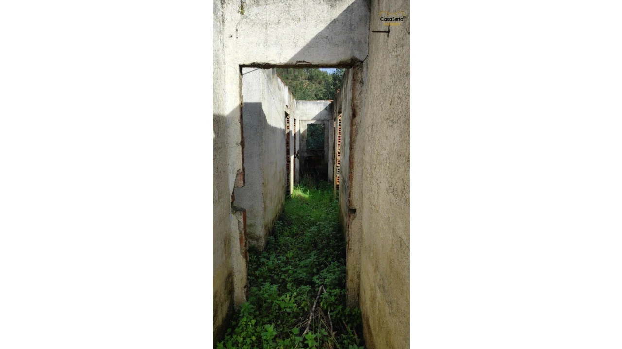 Quinta T5 para Venda em Figueiró dos Vinhos e Bairradas Foto 3