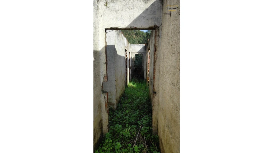 Quinta T5 para Venda em Figueiró dos Vinhos e Bairradas Foto 3