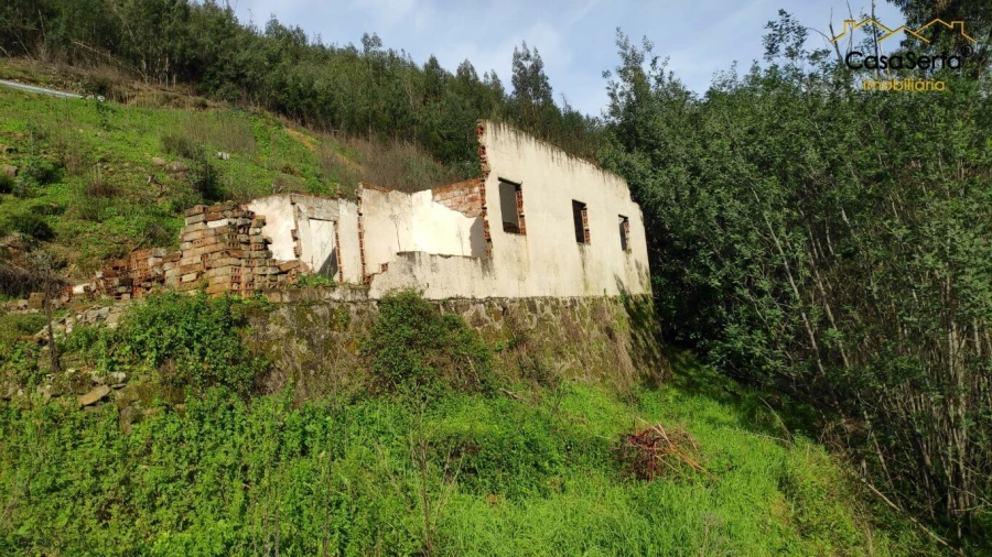 Quinta T5 para Venda em Figueiró dos Vinhos e Bairradas Foto 5