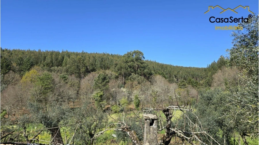 Quinta T1 para Venda em Pedrogão Grande Foto 6