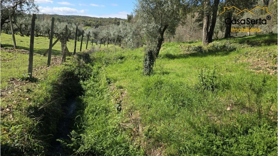 Quinta T1 para Venda em Pedrogão Grande Foto 4
