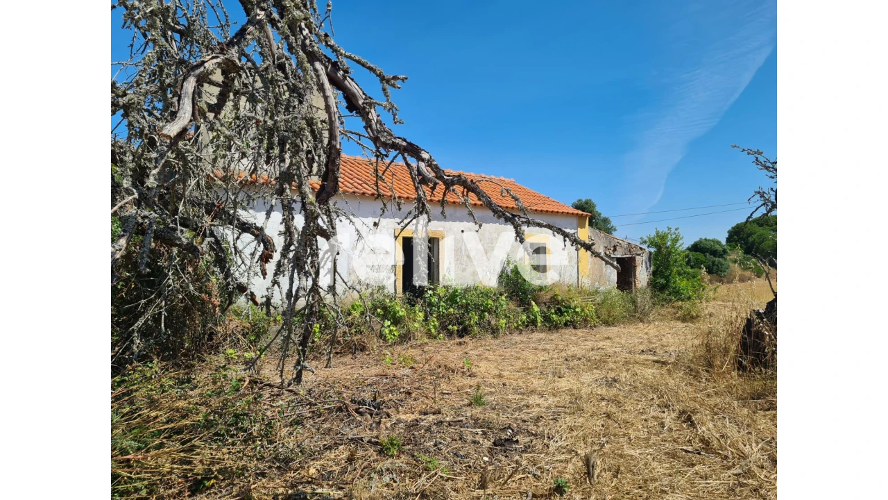 Quinta T1 para Venda em Abela Foto 6