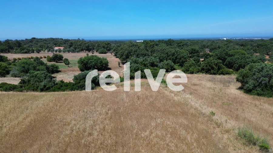 Quinta T1 para Venda em Abela Foto 10