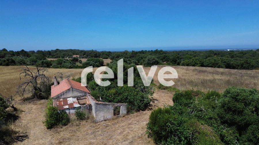 Quinta T1 para Venda em Abela