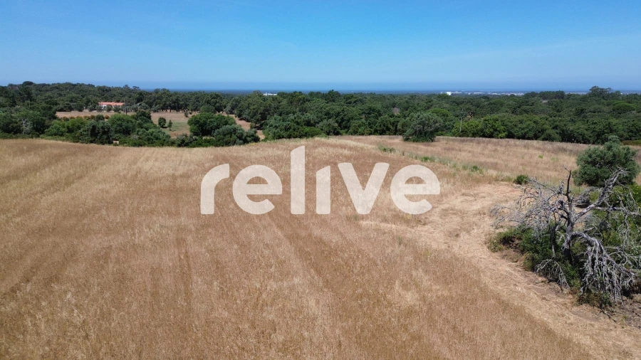 Quinta T1 para Venda em Abela Foto 22