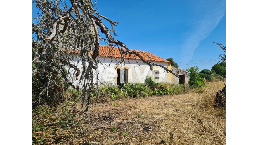 Quinta T1 para Venda em Abela Foto 6