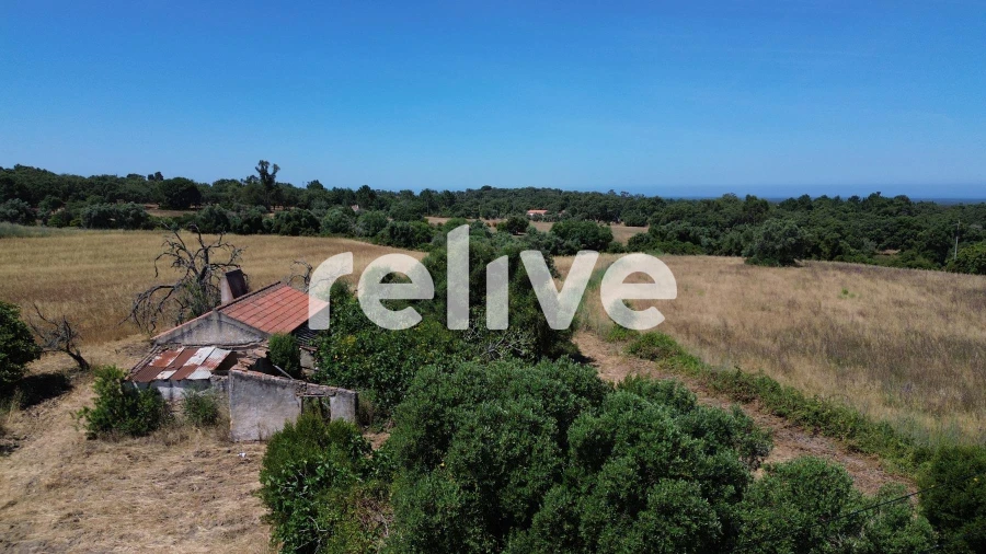 Quinta T1 para Venda em Abela Foto 19