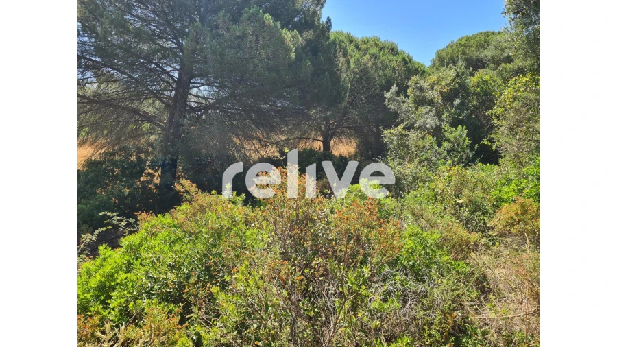 Quinta T1 para Venda em Abela Foto 15