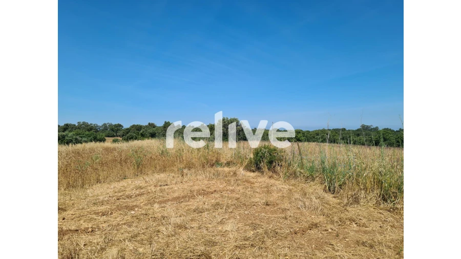 Quinta T1 para Venda em Abela Foto 4