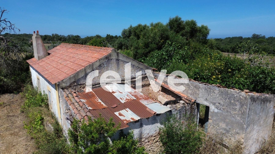 Quinta T1 para Venda em Abela Foto 16