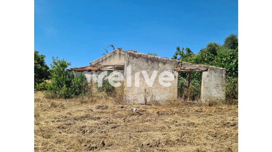 Quinta T1 para Venda em Abela Foto 12