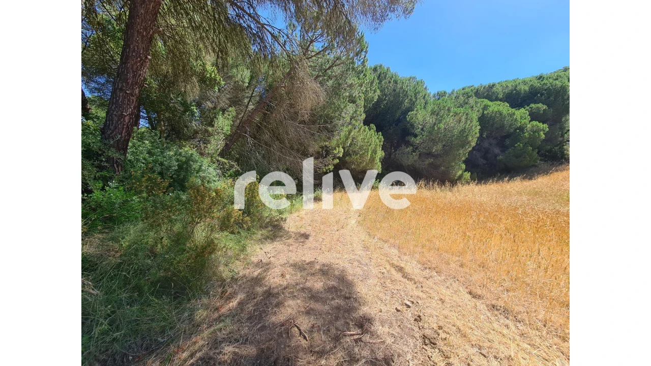 Quinta T1 para Venda em Abela Foto 18