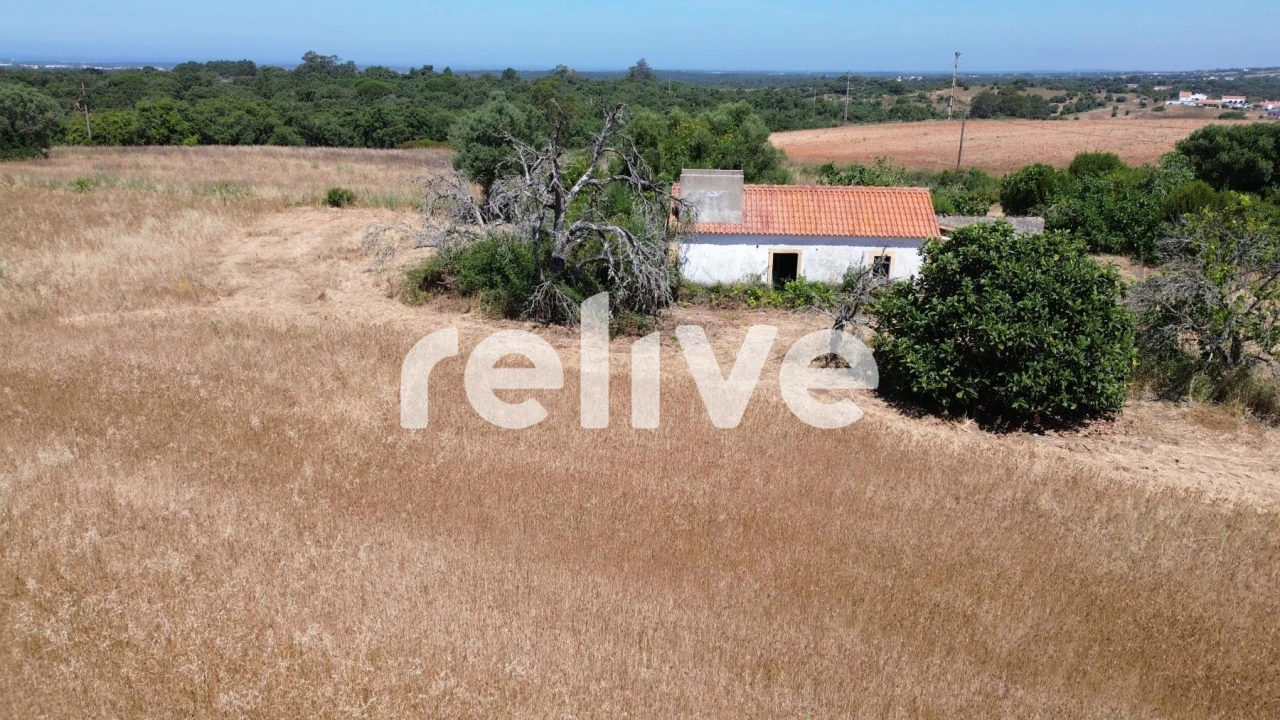 Quinta T1 para Venda em Abela Foto 24