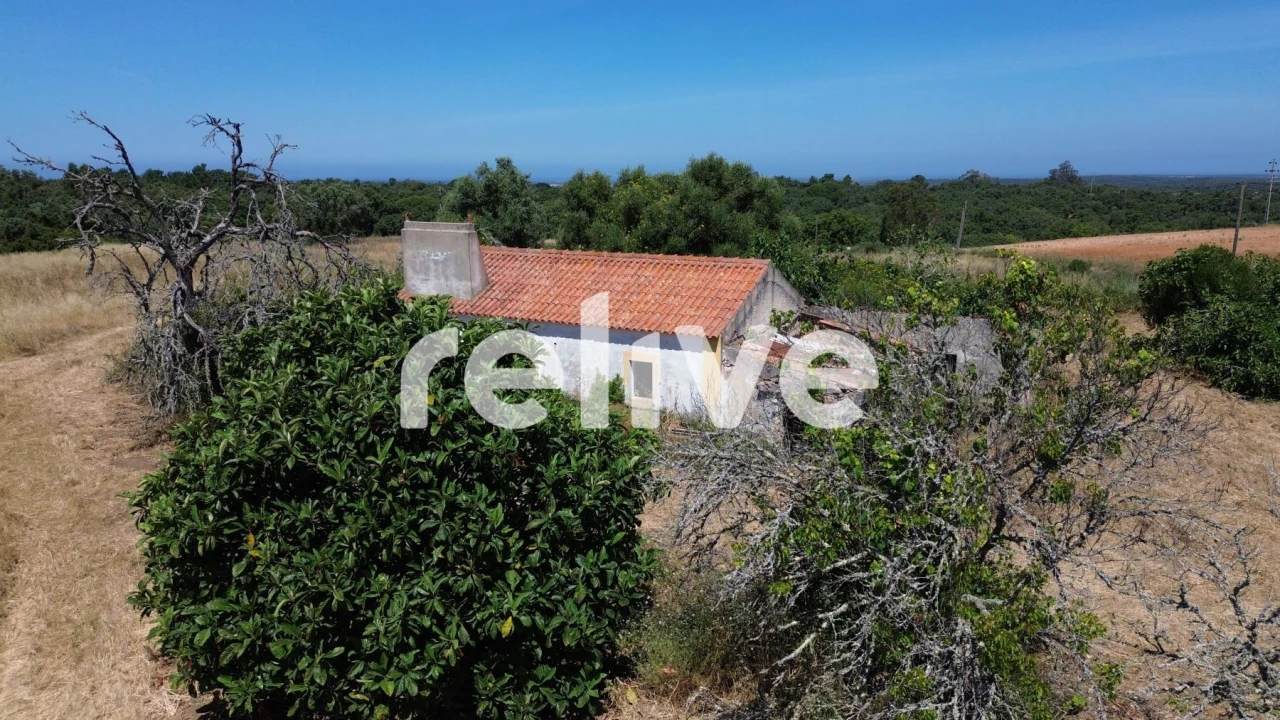 Quinta T1 para Venda em Abela Foto 21