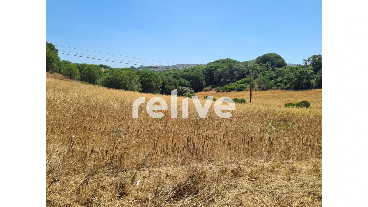 Quinta T1 para Venda em Abela Foto 14