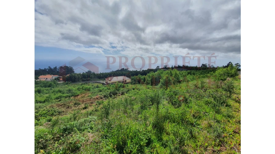 Terreno para Venda em Santo Antonio da Serra Foto 1