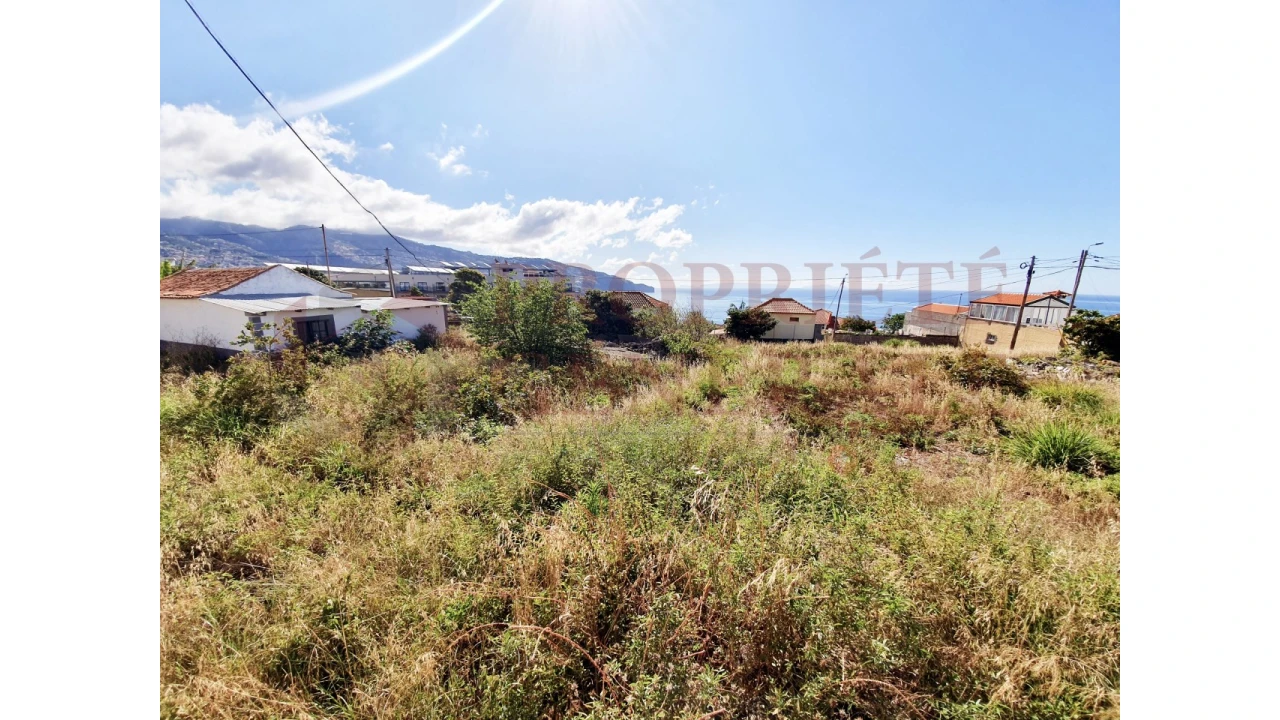 Terreno para Venda em São Martinho Foto 1