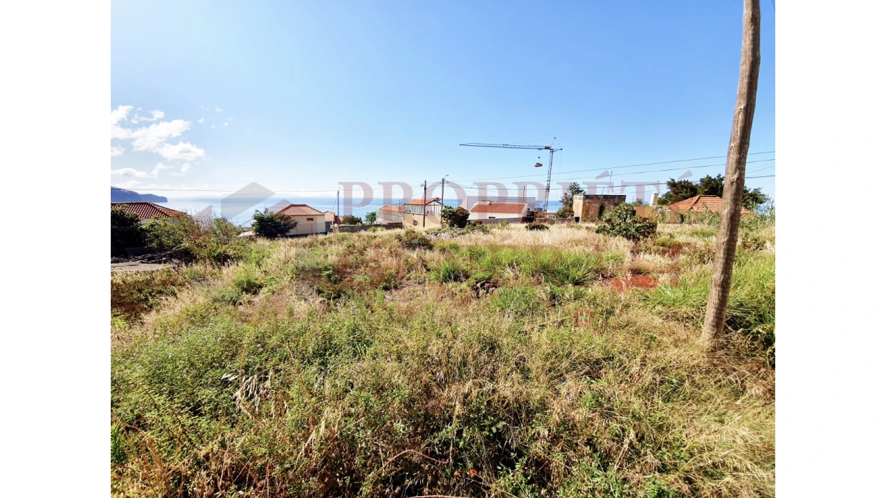 Terreno para Venda em São Martinho Foto 3